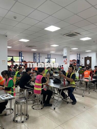 GẤP NAM/NỮ LÀM KHO SPX – KCN PHÚ TÂN, BÌNH DƯƠNG 