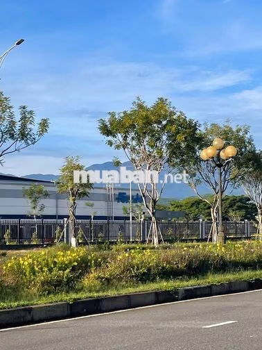 🚨 FOXLINK ĐÀ NẴNG – DN2 ĐANG *** CÔNG NHÂN 🚨