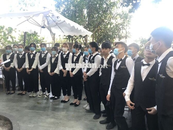 ⛔TUYỂN NHÂN VIÊN PHỤC VỤ TIỆC CƯỚI LƯƠNG LIỀN⛔.