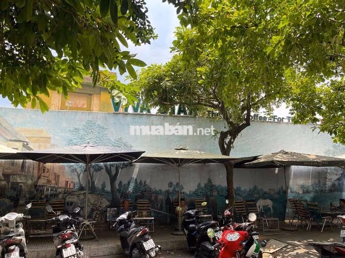 viva star coffee cần tuyển pha chế