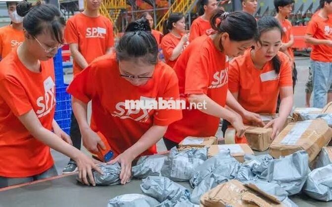 [SPX] NHÂN VIÊN TRẠM GIAO NHẬN KHU VỰC TIÊN DU