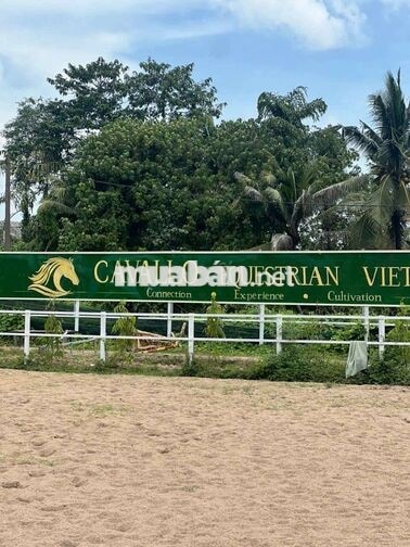 TUYỂN NGƯỜI YÊU QUAN TÂM NGỰA