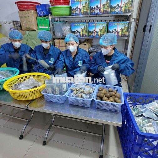 NƯỚC SÂM CÔ EM TUYỂN DỤNG NHÂN SỰ
