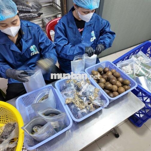 NƯỚC SÂM CÔ EM TUYỂN DỤNG NHÂN SỰ