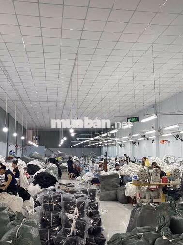 MINERVA TUYỂN DỤNG GẤP – KẾ TOÁN & CÔNG NHÂN MAY