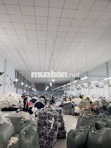 MINERVA TUYỂN DỤNG GẤP – KẾ TOÁN & CÔNG NHÂN MAY