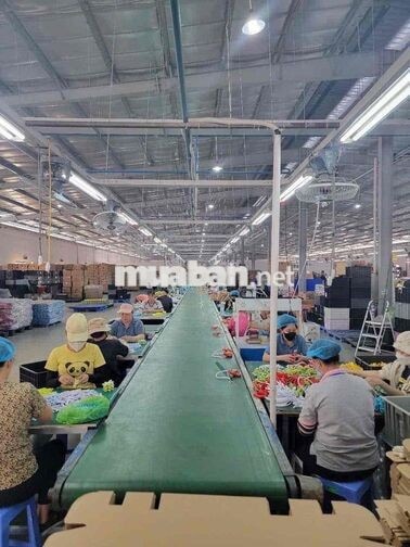 Tuyển Bảo vệ nội bộ nữ