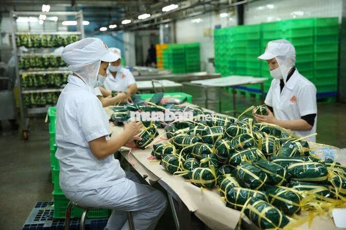 NHÂN VIÊN CHẾ BIẾN VISSAN_ BAO CƠM_ THƯỞNG 2TR2