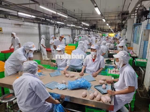 NHÂN VIÊN CHẾ BIẾN VISSAN_ BAO CƠM_ THƯỞNG 2TR2