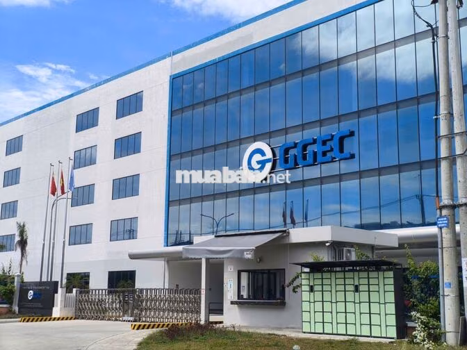 CTY ĐIỆN TỬ QUỐC QUANG-QUẢNG NAM