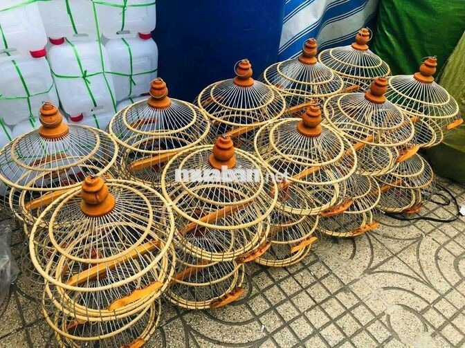 Cần tuyển 2 Nam giao hàng và phụ đóng hàng