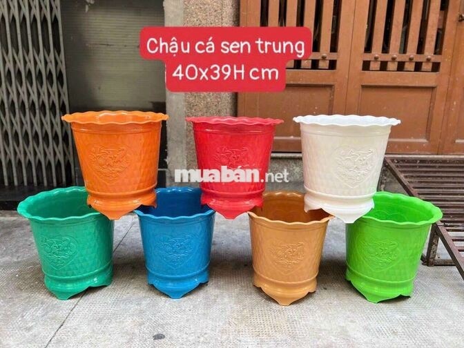 Cần tuyển 2 Nam giao hàng và phụ đóng hàng