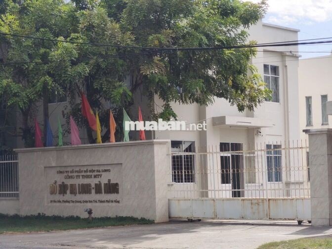 Đồ Hộp Hạ Long tuyển dụng tại Cảng cá Thọ Quang