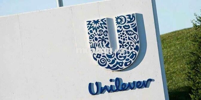 TRƯNG BÀY UNILEVER KÊNH TẠP HOÁ TP TÂY NINH