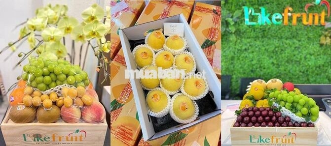 TUYỂN NAM NV BÁN HÀNG TRÁI CÂY 