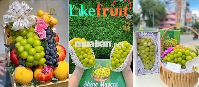 TUYỂN NAM NV BÁN HÀNG TRÁI CÂY 