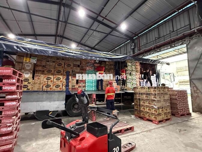 🏢 CÔNG TY TNHH BDL LOGISTICS, BỐC XẾP NGỌC PHÚ
