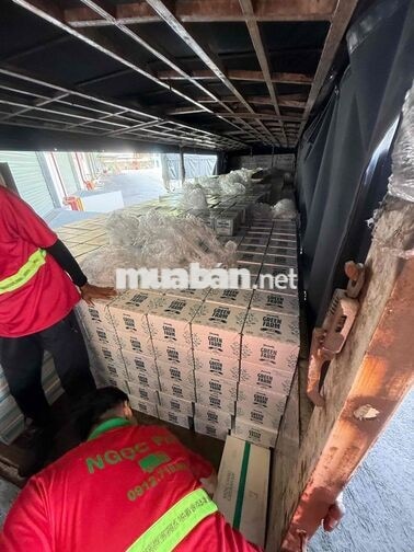 🏢 CÔNG TY TNHH BDL LOGISTICS, BỐC XẾP NGỌC PHÚ