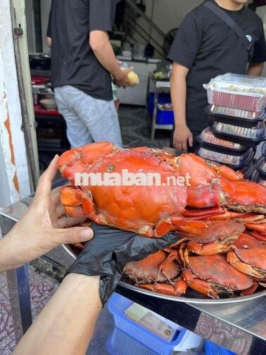 Quận 1 Hoàng Sa tuyển 3 phụ bếp