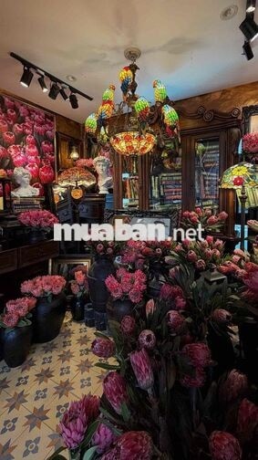 TUYỂN PHỤC VỤ CAFE Q12