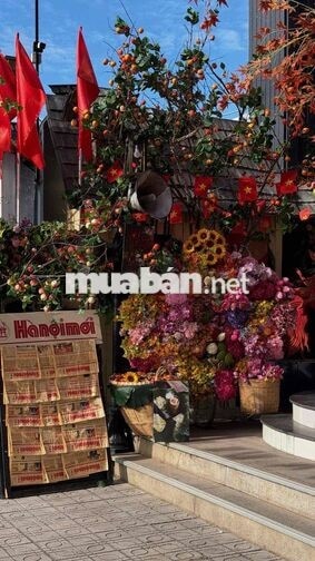 TUYỂN PHỤC VỤ CAFE Q12