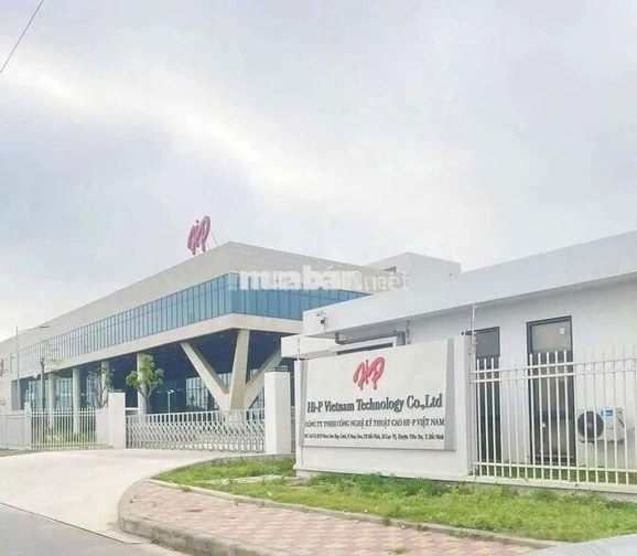 việc làm chính thức đi làm ngay