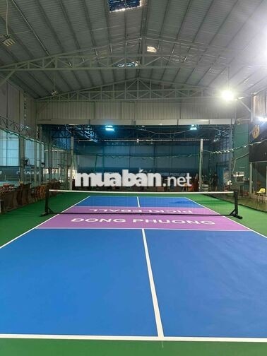 tuyển nam phục vu sân bóng đá  tennis bao ăn ở