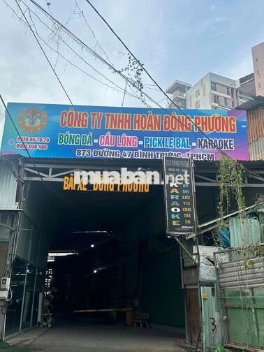 tuyển nam phục vu sân bóng đá  tennis bao ăn ở