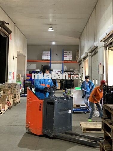 Nhân Viên Kho Chia Hàng - Đi Làm Ngay - Tuyển Nam