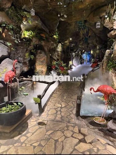 Tuyển dụng chuyên viên CSKH
