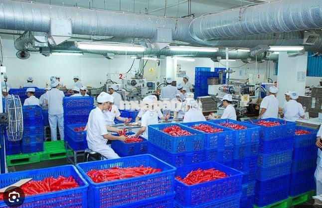 LƯƠNG TUẦN -BAO CƠM - THƯỞNG 2TR2 -ĐÓNG GÓI ĐỒ HỘP