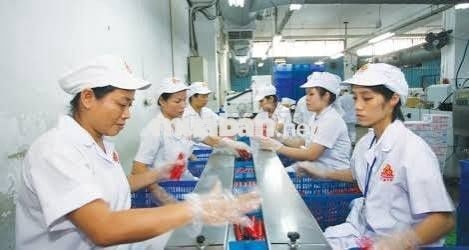 LƯƠNG TUẦN -BAO CƠM - THƯỞNG 2TR2 -ĐÓNG GÓI ĐỒ HỘP