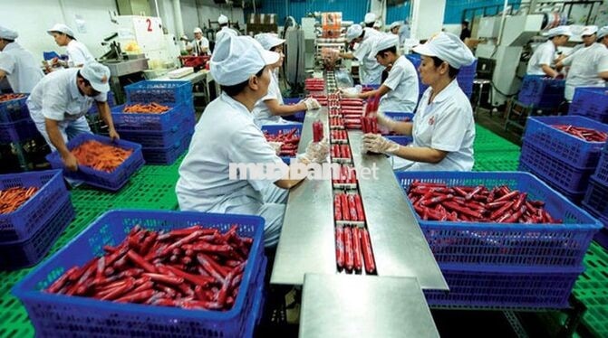 LƯƠNG TUẦN -BAO CƠM - THƯỞNG 2TR2 -ĐÓNG GÓI ĐỒ HỘP
