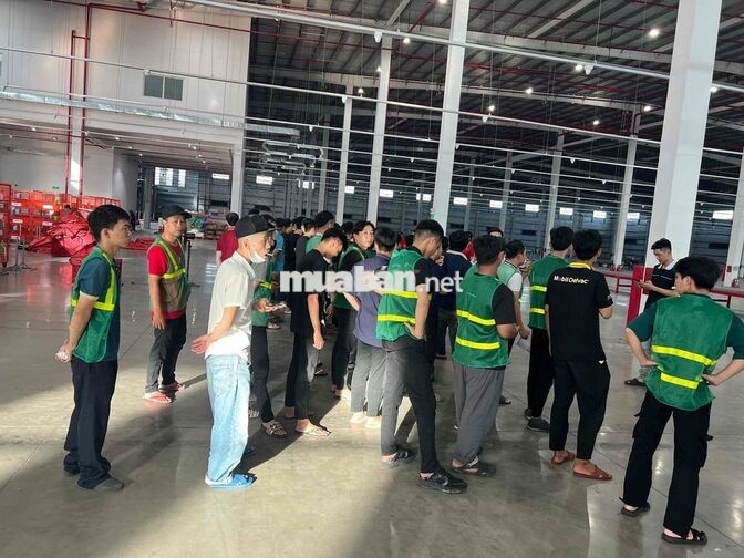 NHẬN LƯƠNG NGÀY - SOẠN HÀNG PHỤ KHO CỐ ĐỊNH CA LÀM