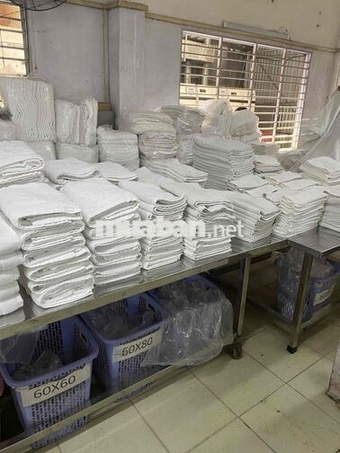 TUYỂN DỤNG : 3 tài xế , 5 giao nhận , 7 lđpt