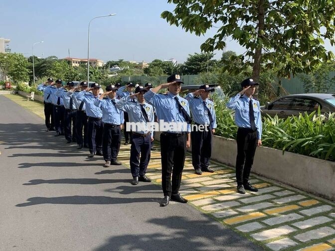 Tuyển bảo vệ nhà máy. Tân Túc. Bình chách