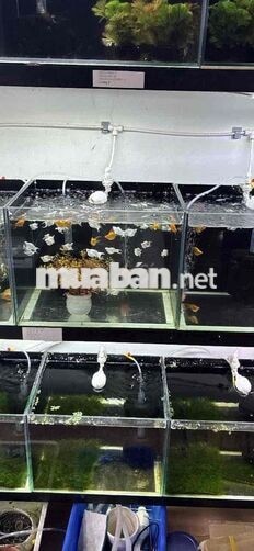 Fulltime- Nhân viên xử lý đơn hàng- Bình Thạnh