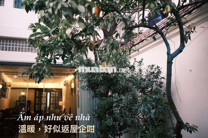 BẾP LẠNH QUÁN LẨU - ƯU TIÊN NỮ TRUNG NIÊN 
