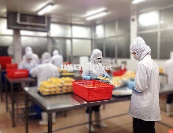 TUYỂN 50 CN - LĐPT (THU NHẬP 6.5-12 Triệu/1 tháng)
