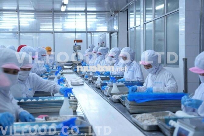TUYỂN 50 CN - LĐPT (THU NHẬP 6.5-12 Triệu/1 tháng)