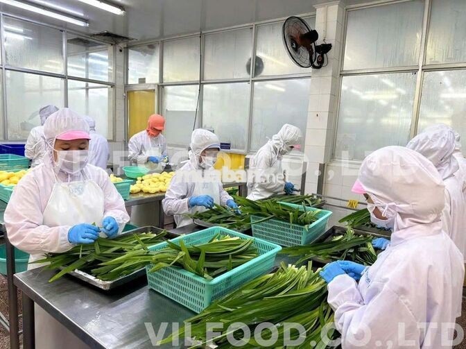 TUYỂN 50 CN - LĐPT (THU NHẬP 6.5-12 Triệu/1 tháng)
