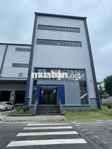NHÂN VIÊN VẬN HÀNH MÁY DẬP NGUỘI ĐỒNG NAI