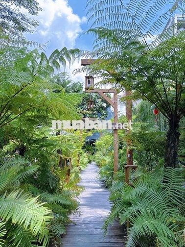 TUYỂN NHÂN VIÊN PHA CHẾ VÀ PHỤC VỤ CÀ PHÊ