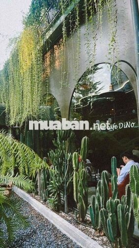 TUYỂN NHÂN VIÊN PHA CHẾ VÀ PHỤC VỤ CÀ PHÊ