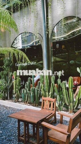 TUYỂN NHÂN VIÊN PHA CHẾ VÀ PHỤC VỤ CÀ PHÊ