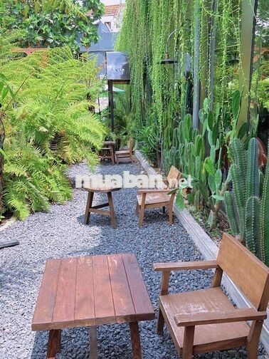 TUYỂN NHÂN VIÊN PHA CHẾ VÀ PHỤC VỤ CÀ PHÊ