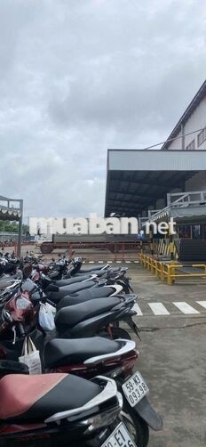 Lương tuần - Thời vụ Kho Tân Phú Trung