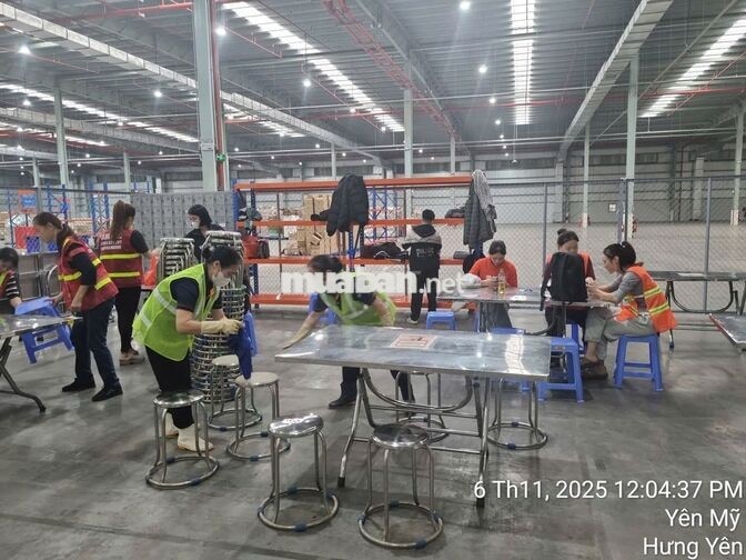Cần tuyển tạp vụ Nam/nữ làm kho Shopee