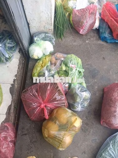 tuyển thêm 1 shipper phụ chia và giao rau củ bc