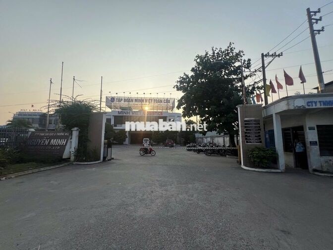 🚨 MINH VIỆT LOGISTICS TUYỂN DỤNG NHÂN VIÊN BỐC XẾP